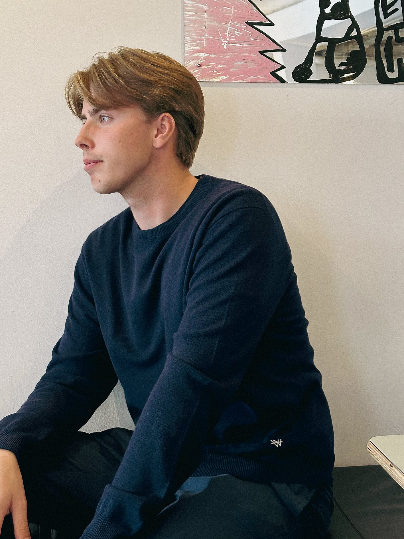 Frederik Pullover
